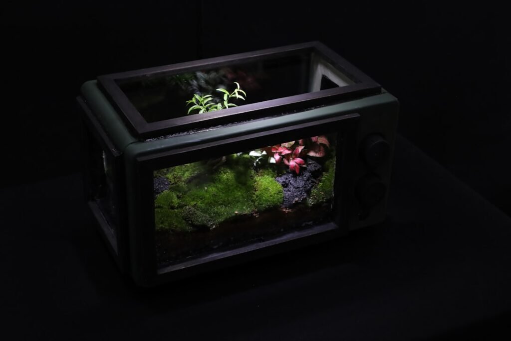 Qué es un terrario bioactivo y cómo funciona