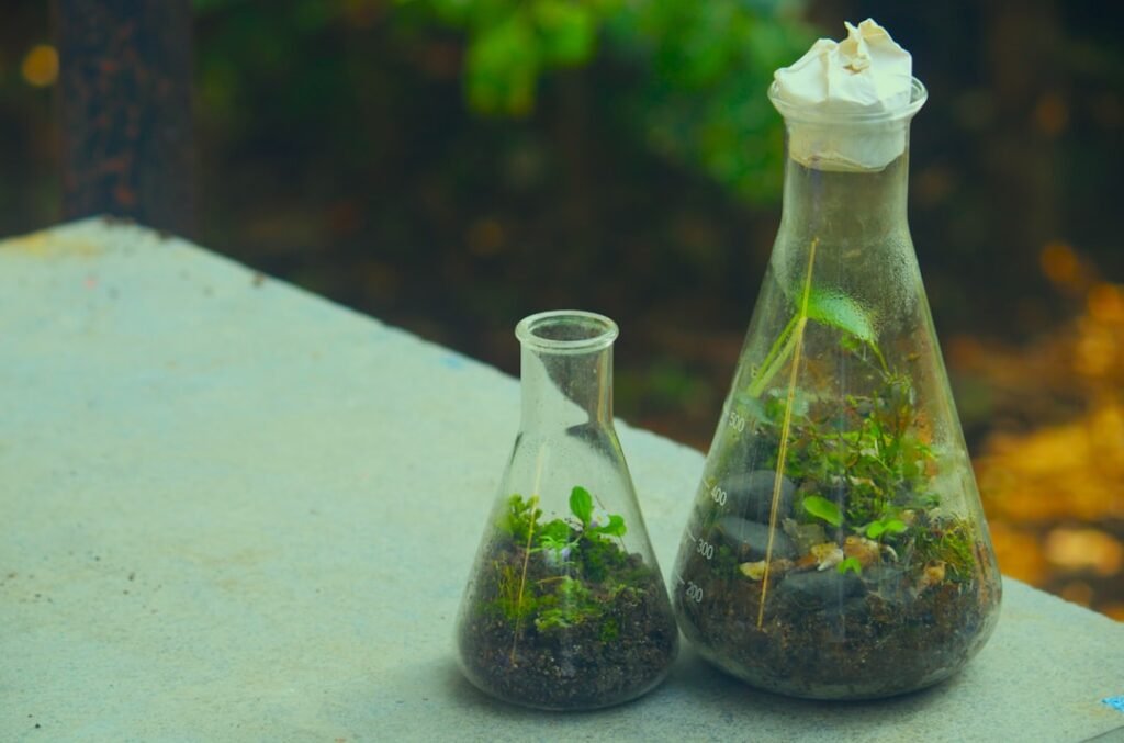 10 errores de principiante en terrarios bioactivos